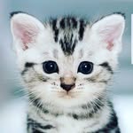 Maximus Reedie - @maximusreedie - Instagram