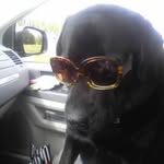 Maximus Richards - @maximus.richards.39 - Instagram