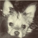 Maximus Rivas - @max_the_horrible - Instagram