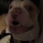 Maximus Robinson - Facebook