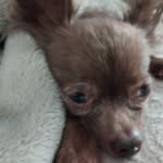 Maximus Robinson - @maximusrob8 - Instagram