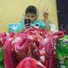 max game - @maximusrocha2 - TikTok