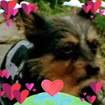 Maximus Rogers - Facebook