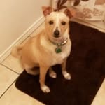 Maximus Rosenbaum - @maximus.rosenbaum - Instagram