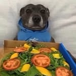 Maximus Rosenbaum - @rosenbaum.maximus - Instagram
