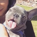 Maximus Ross - @rossmaximus - Instagram
