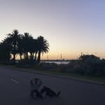 Maximus Rossi - @maximusrossi_ - Instagram