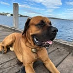 MaximusRoss34 - @maximus_primeross - Instagram