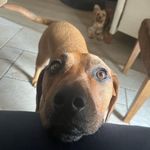 Maximus Serrano - @maximus.serrano22 - Instagram
