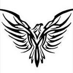 Maximus Shaw - @desighnner_eagle - Instagram