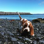 Maximus Smith - @max_is_lit_907 - Instagram