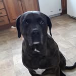 Maximus Smith - @maximus71385 - Instagram