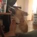 Maximus Smith - Facebook