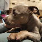 maximus smith - @maximus_smith1 - Instagram