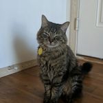 Maximus Smith - @maximus.smith.22 - Instagram