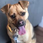 Maximus Smith - @maximus_smith17 - Instagram
