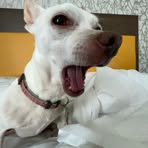 Maximus Stanley - Facebook