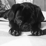 Maximus Stanley - @tothemaximus_ - Instagram