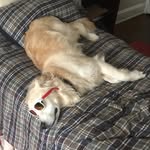 Maximus Stephens - @max_2cute4u - Instagram