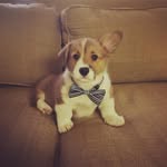 Maximus Stone - @maximusstone - Instagram