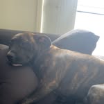 maximus taylor - @maximus_taylor0844 - Instagram