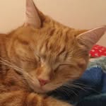Maximus Taylor Winslow - @magicdestoyer8 - Instagram