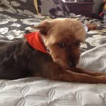 Maximus Thomas - @maximus_thomas_ - Instagram