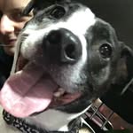 maximus thomas - @nameismox - Instagram
