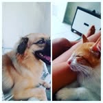 Maximus,Thomas - @maxthomas002 - Instagram