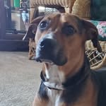 Maximus Torres - @maximus.torres - Instagram