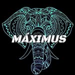 Máximus Trance - @maximustrance - Instagram