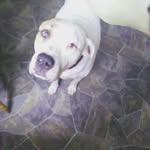 maximus turner - @_maxi_moose_ - Instagram