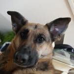 Maximus Turner - @maximusturner1 - Instagram