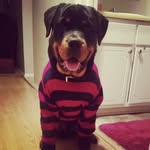 MaximusTurner - @maximus_turner16 - Instagram