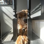 Maximus Vasquez - Facebook