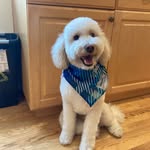 @maximus._wade - Instagram