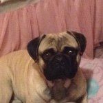 Hi My Names Max - @maximus_walker - Instagram
