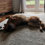 Lord Maximus Walker - @lordmaximuswalker - Instagram