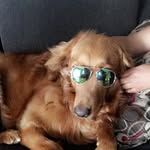 Maximus Prime Walker - @maximusprimewalker - Instagram