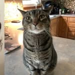 Maximus - @maximuswatson_ - Instagram