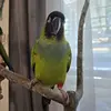 Maximus Watson - @maximuswatson - TikTok