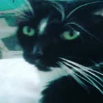 maximus_webster - @maximus_webster - Instagram