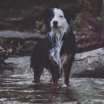 Maximus Blue Wells - @maximus_wells - Instagram