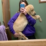 @maximus.wheeler - Instagram
