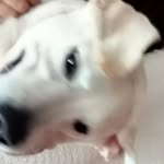 Max - @maximus_whitelab - Instagram