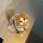 Max - @maximus_whiteoyen - Instagram