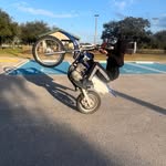 Maximus White - @tubby_the_tao_tao_scooter - Instagram