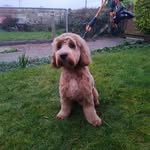 Maximus Young - @maxyoung.2020 - Instagram