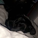 Maxine - @maxine_mariah_ackermann - Instagram