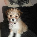 Maxine Archer - @maxine.archer.92 - Instagram